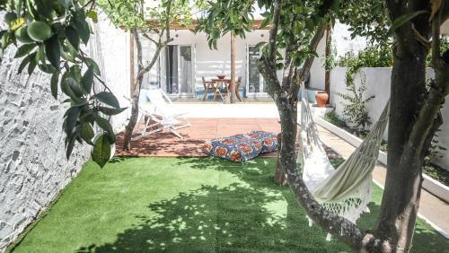Grandola Haus | Papoila