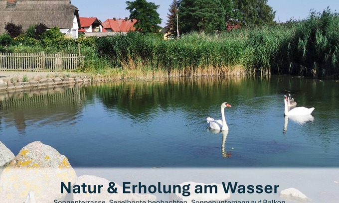 Ostvorpommern Wohnung | Paradies am Peenestrom ruhig, kleiner priv. Strand, Terrasse - Ziemitz -