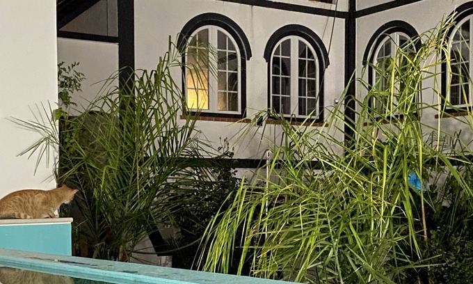 Coruche Haus | Patio da Villa Guest House