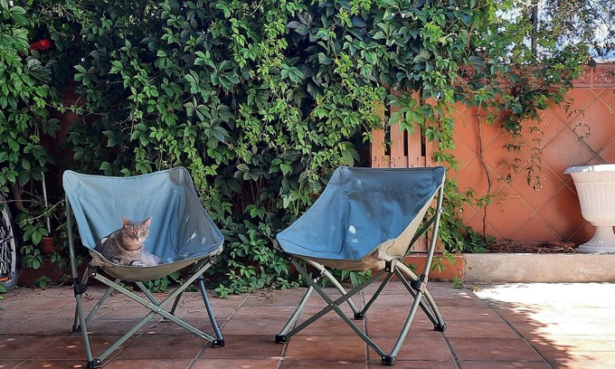 Barrio de la Vega Eigentumswohnung | Patio Tipique Andalous, à 10 mnt de L'alhambra, Animaux de Compagnie Acceptés