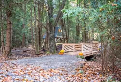 Tylersburg Sonstige | Peaceful Pines Treehouse