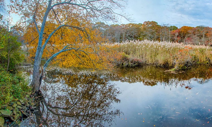 East Patchogue Haus | Ruhe und Entspannung in einer ruhigen Gegend im Herzen von Long Island