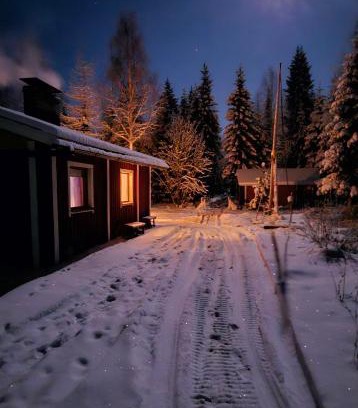Kemijarvi Wohnung | Peacfull cottage in middle of forest
