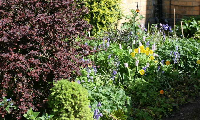 Rhayader Haus | Penralley House B&B