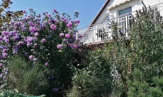 Ueckeritz Wohnung | Pension Haus Anneliese