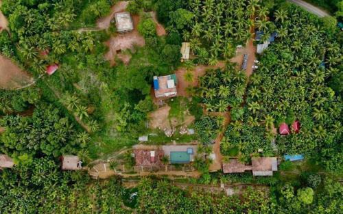 Supa Haus | Pepper Paradise by StayApart