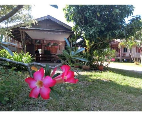 Pua Haus | Pernjai Homestay บ้านคำข้อน