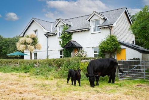 Brynrefail Haus | Perthi-Uchaf