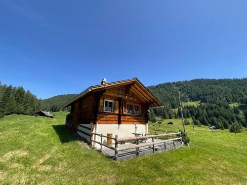 Hasliberg Wohnung | Peter's Hütte in Hasliberg Bidmi