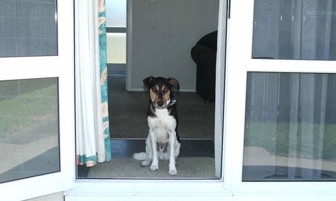 Riversdale Wohnung | Haustierfreundliche Strandvilla 2