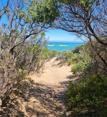Paradise Beach Haus | PIECE OF PARADISE, huge 4 bedroom haven