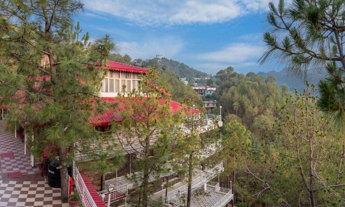Barog Haus | Pine Dream Resort l Kasauli l By BlackPearl