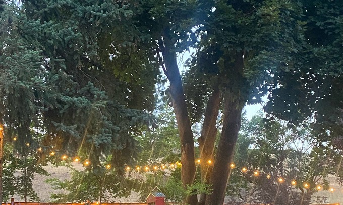 Wamic Hütte | Pine Hollow Maupin Adventure Cottage