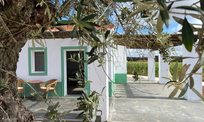 Borba Hütte | Pleno Alentejo Rodeado de Vinhas e Junto as Cidades de Borba, Vila Viçosa e Estr
