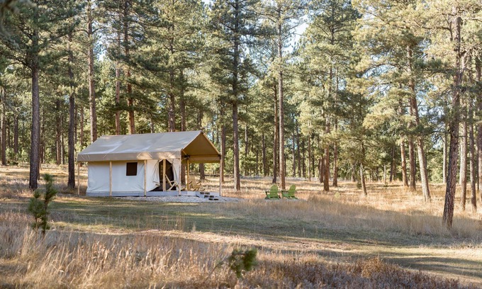 Custer Haus | Plush canvas tent in the forest