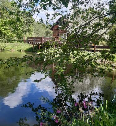 Cisna Haus | Pod dobrym adresem- domek nad stawem