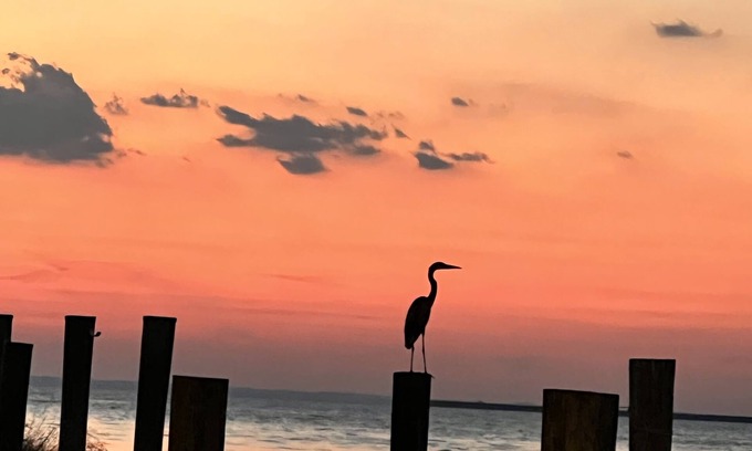 Tilghman Hütte | "Point of View" Waterfront cottage with panoramic views on Tilghman Island