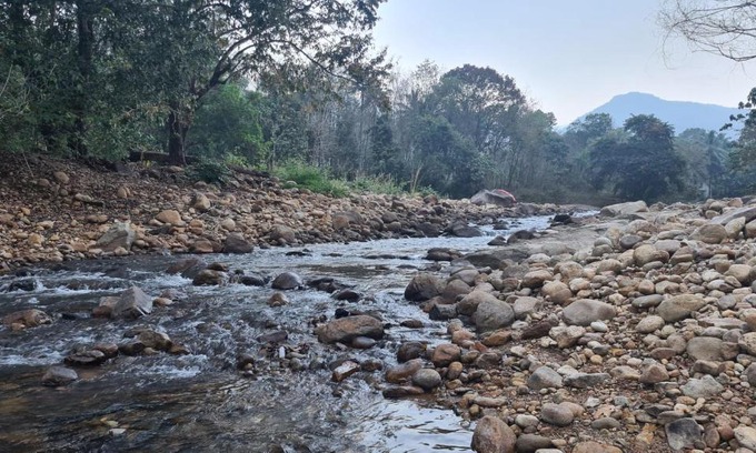 Ponmundi Haus | PONMUDI DALE. HOMESTAY