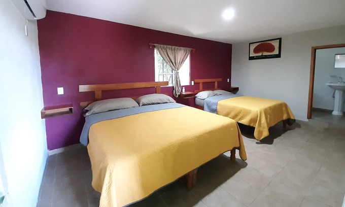 Xilitla Haus | Posada Ónix Xilitla