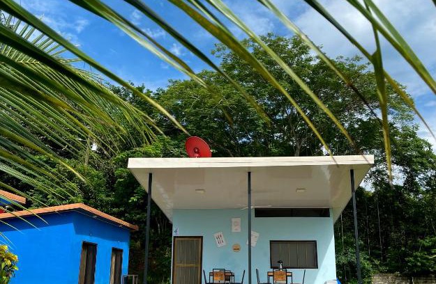 Matapalo Haus | POSADA MIRADIA