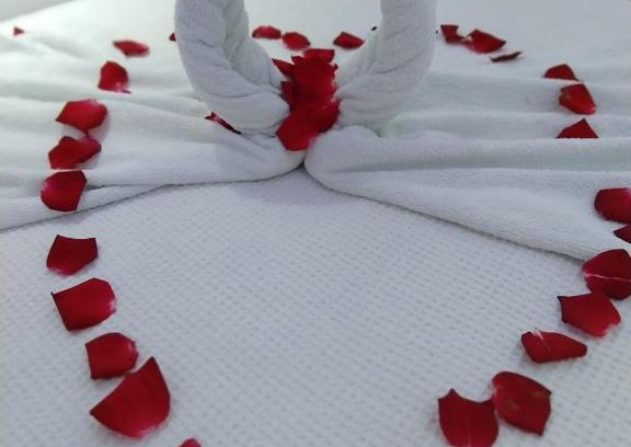 Praia dos Anjos Hotel | Pousada Ninho da Coruja