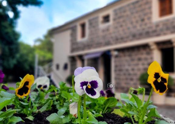 Sao Joao do Polesine Wohnung | Pousada Recanto