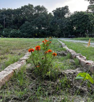 Mayapur Haus | Prakriti wellness stay
