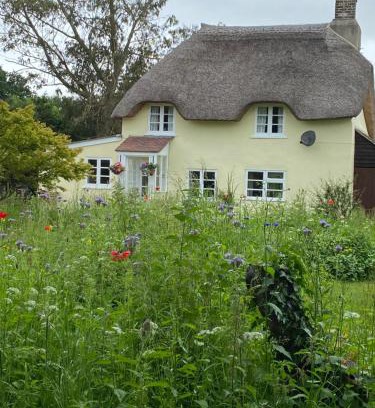 Holworth Haus | Primrose Cottage