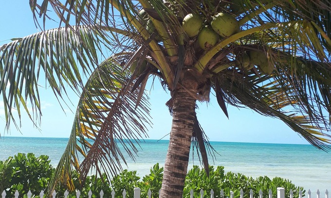 Coral Harbour Hütte | Private and Peaceful Cottage at the Beach