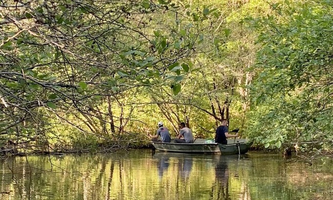 Munford Haus | Wunderschöne Hütte am Robin-See ... Hundefreundlich