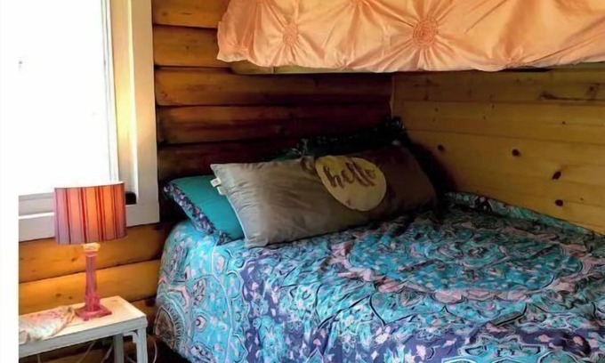 Todd County Haus | Private island cabin with ALL the amenities!