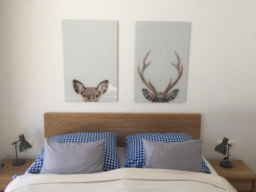 Hinterstoder Wohnung | Privatwohnung am Prielerweg in Hinterstoder
