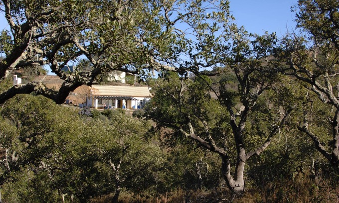 Santa Catarina da Fonte do Bispo Haus | romantisches Haus in den Hügeln der Algarve