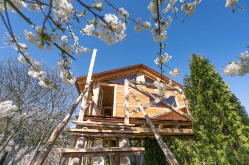 Ustek Haus | Ptačí domek