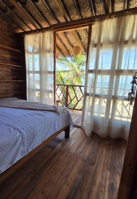 Palomino Haus | Puerto Manglar Hostal