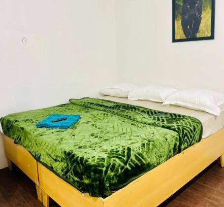 Masinagudi Haus | Pug Mark Jungle Resort - Masinagudi