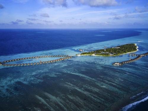 Maamutaa Island Resort | Pullman Maldives Maamutaa - All-Inclusive Resort - 50 percent off Transfers