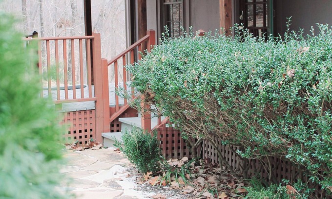 Toccoa Hütte | Quaint Secluded 3BR/2BA Cottage w/Fire Pit