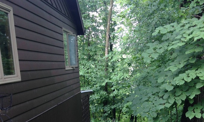 Janesville Wohnung | Quiet time in the woods.