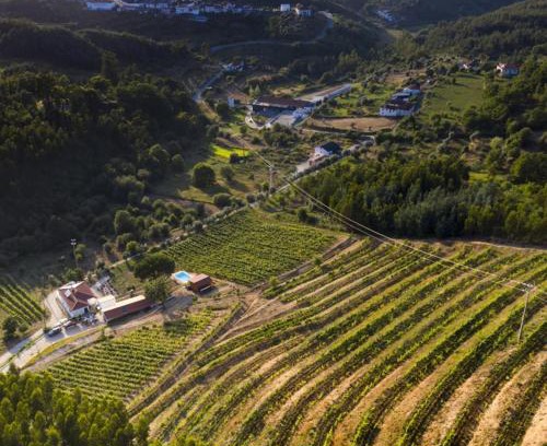 Arganil Haus | Quinta da Aldeia Nova
