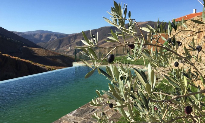 Cotas Haus | Quinta da Gricha