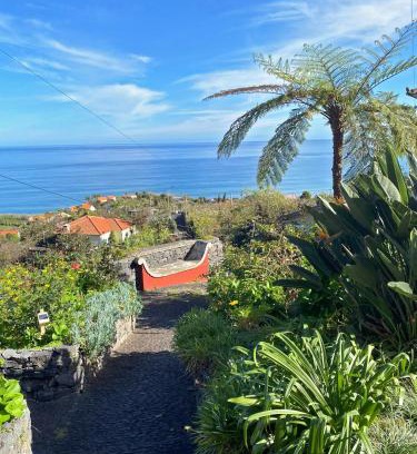 Arco de Sao Jorge Haus | Quinta das Hortênsias