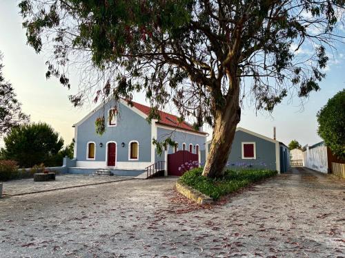 Alfeizerao Haus | Quinta das Soizas - São Martinho