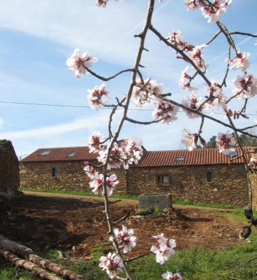 Torre de Moncorvo Haus | Quinta dos Baldo