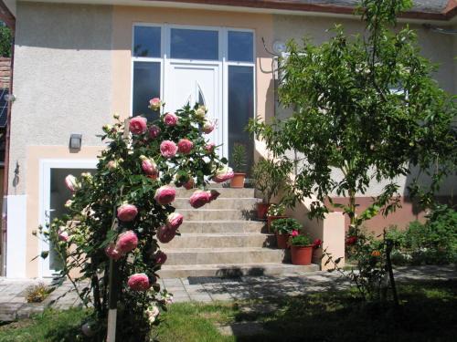 Kerecseny Haus | Réti Tanya Vendégház