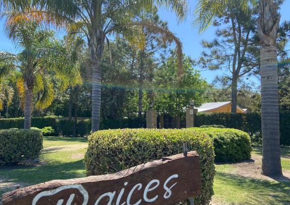 San Pedro Haus | Raíces