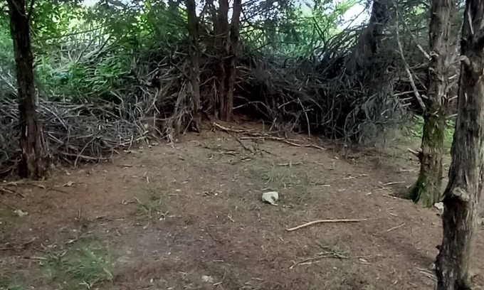 Elkland Wohnmobilvermietung | Rabbit's Den @B Berry Farms