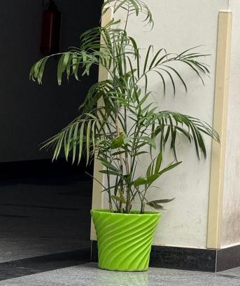 Haraiya Haus | Raghuvar Residency