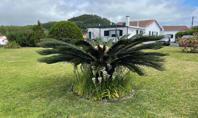 Faja de Baixo Haus | Beschreibung von Villa auf dem Dorf, auf den Faja de Baixo, Portugal