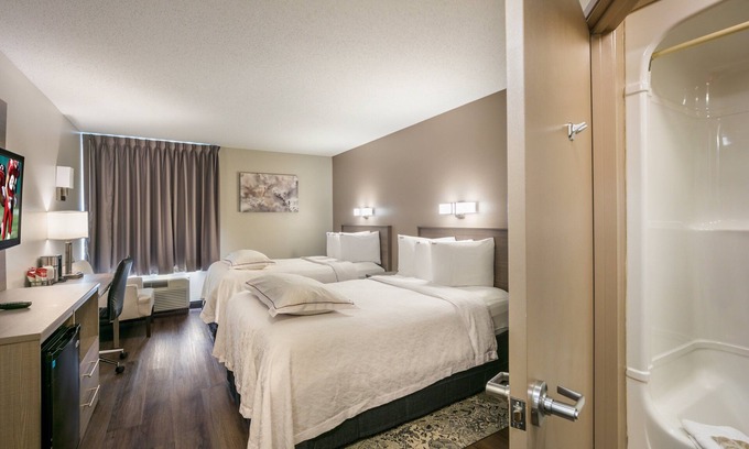 Saugus Hotel | Red Roof Inn PLUS+ Boston - Logan